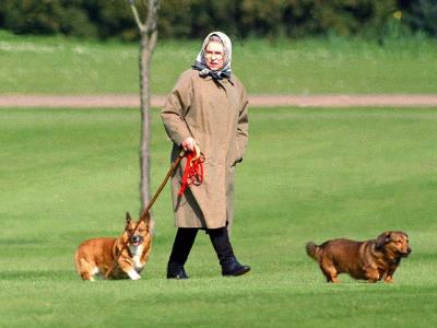 Прикрепленное изображение: 13770402_510617659126756_4487224185593060126_n.jpg